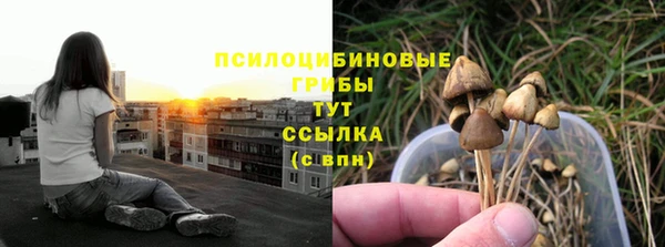 мяу мяу мука Алексин