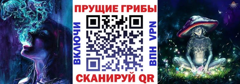 Псилоцибиновые грибы Magic Shrooms  хочу наркоту  Грайворон 