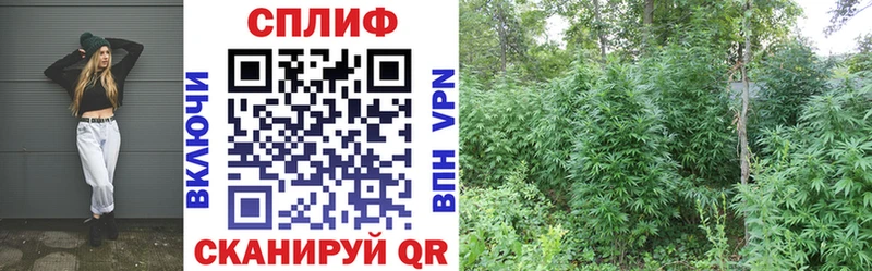 Бошки Шишки Ganja blacksprut вход Грайворон